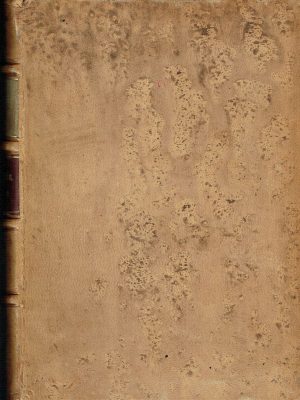 El carrousel de la vida