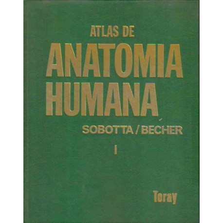 Atlas de Anatomía Humana.