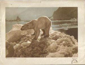 Varias láminas de cine de la revista "Films Selectos".