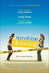 Sunshine cleaning.