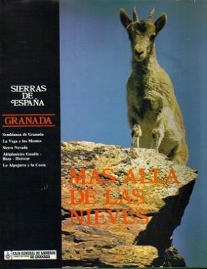 Más allá de las nieves.