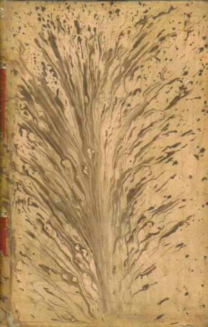 Traité D'Anatomie Humaine.