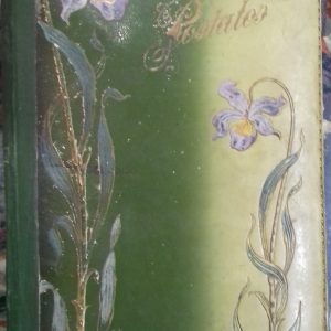 Álbum de tarjetas portales de principios del siglo XX.