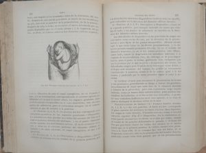 Tratado completo de obstetricia.