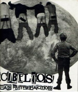 Paletas putrefactos.