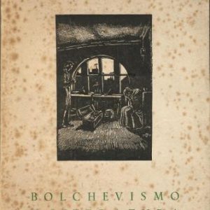 Bolchevismo y literatura (La novela soviética en sus creaciones típicas). .