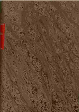 Doña Isabel de Solís, Reina de Granada. Parte segunda.