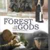 Forest of the gods.