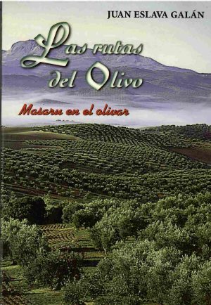 Las rutas del olivo. Masaru en el olivar.