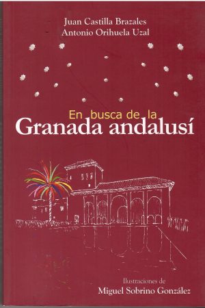 En busca de la Granada andalusí.