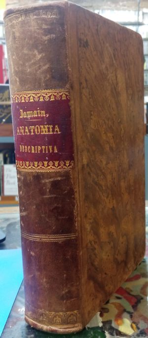 Tratado elemental de Anatomía descriptiva y de preparaciones anatómicas.